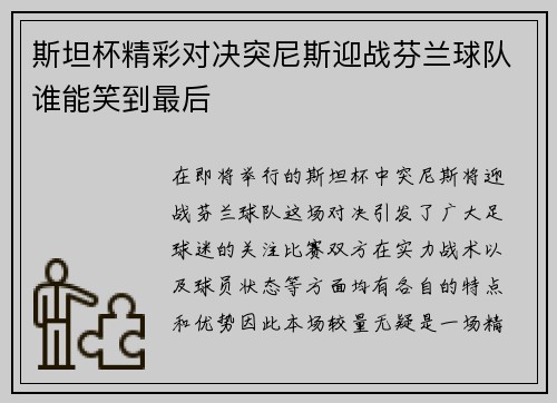斯坦杯精彩对决突尼斯迎战芬兰球队谁能笑到最后